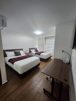 Estilo Loft en Barrio Antiguo